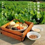 【無料で読める】野菜を信じるレシピ