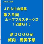 【無料で読める】JRA中央競馬中山ホープフルステークス馬券予想