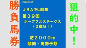 【無料で読める】JRA中央競馬中山ホープフルステークス馬券予想
