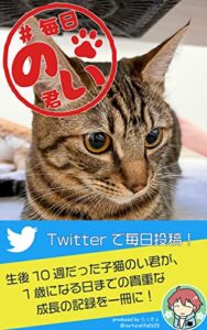 【無料で読める】＃毎日のい君: 子猫のい君、生後10週から1歳までの成長の記録