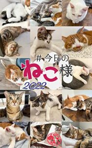 【無料で読める】＃今日のねこ様2022