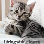 【無料で読める】Living with A kitten: ねことのくらし