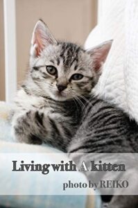 【無料で読める】Living with A kitten: ねことのくらし
